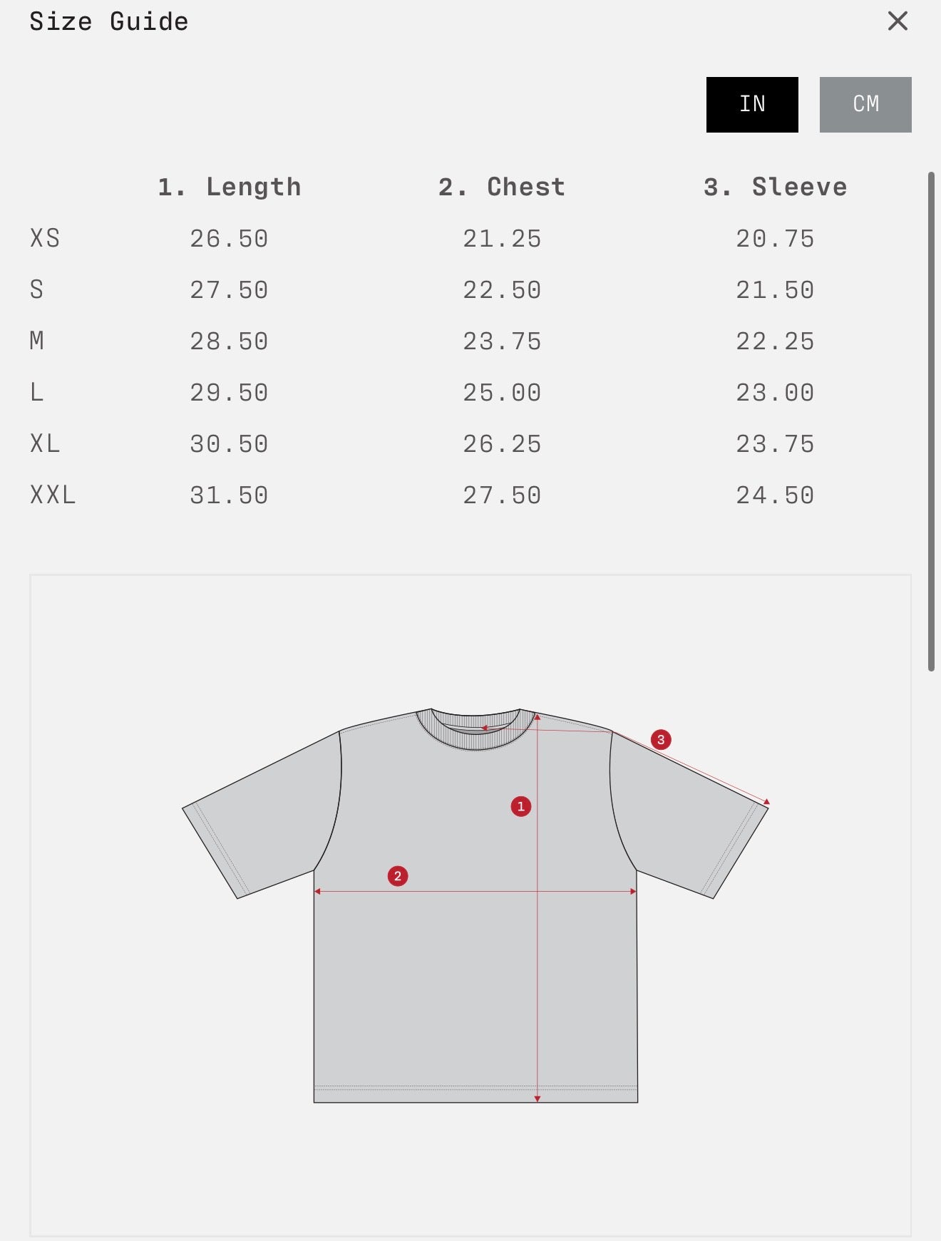 Outsider Oversized Zia-ish T-shirt